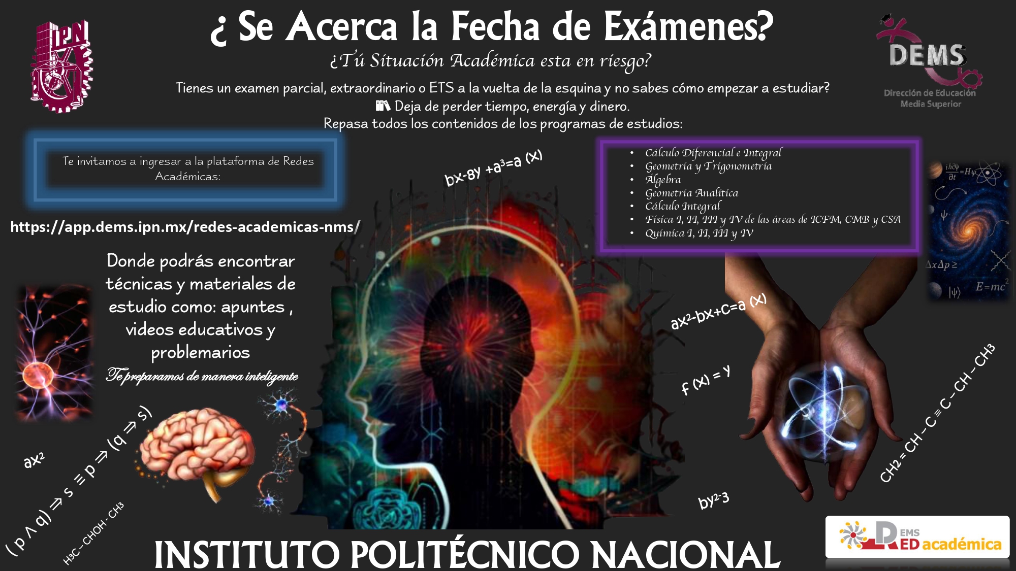 Redes Académicas 2025